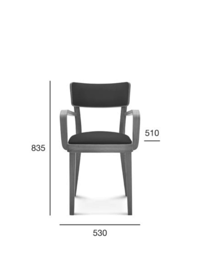 Fotel z podłokietnikami Solid B-9449/1, dębowy, tapicerowane siedzisko i oparcie, FAMEG