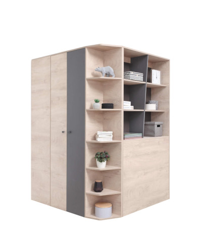 Szafa młodzieżowa - garderoba Delta DL01, 2-drzwiowa, Dąb/ Antracyt, MEBLAR