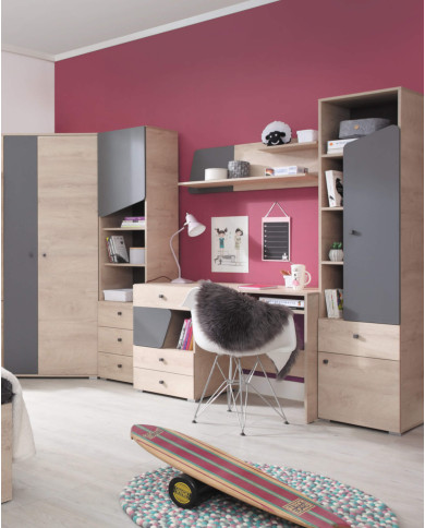 Regał Delta DL04, wnęki regałowe, drzwi, szuflada, Dąb/ Antracyt, MEBLAR