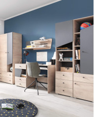 Półka wisząca Delta DL13, panel z dwoma półkami, Dąb/ Antracyt, MEBLAR