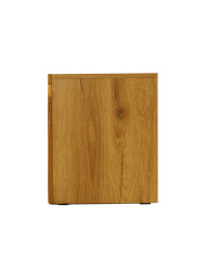 Szafka RTV Bruno 48, z drzwiami, szufladą i wnęką na sprzęt, front lity dąb olejowany, SIUDY