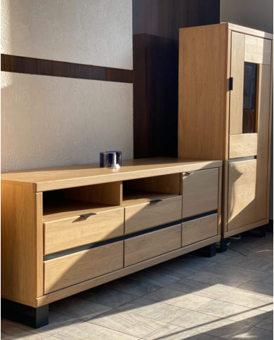 Szafka RTV Mono Loft MOE-01, z drzwiami i wnęką na sprzęt, front lity dąb olejowany, SIUDY