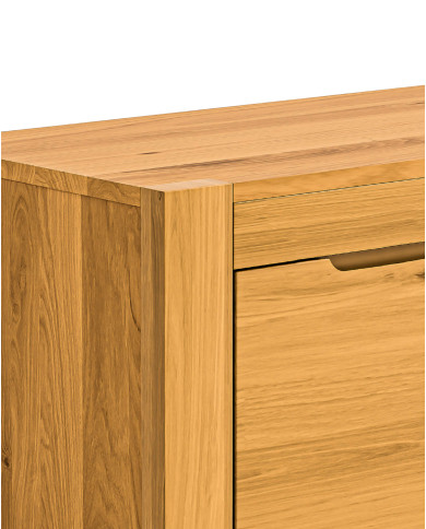 Szafka RTV Napoli NE-46, z drzwiami i wnęką na sprzęt, front lity dąb olejowany, SIUDY