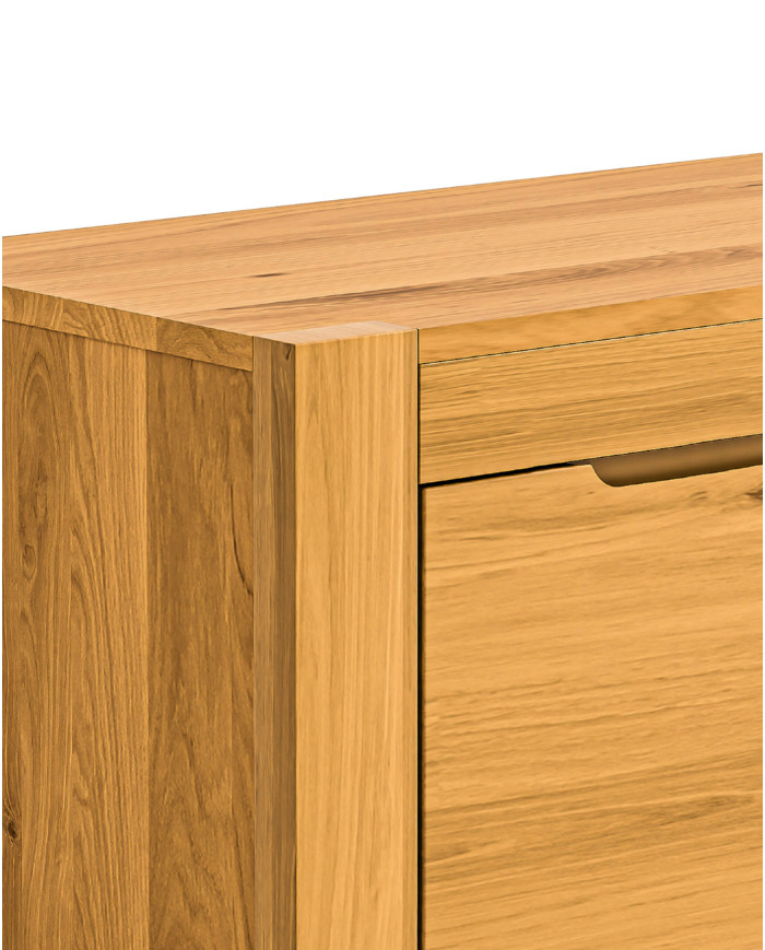 Szafka RTV Napoli NE-46, z drzwiami i wnęką na sprzęt, front lity dąb olejowany, SIUDY