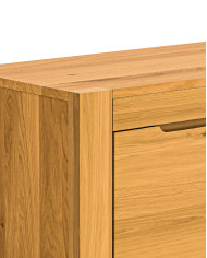 Szafka RTV Napoli NE-46, z drzwiami i wnęką na sprzęt, front lity dąb olejowany, SIUDY