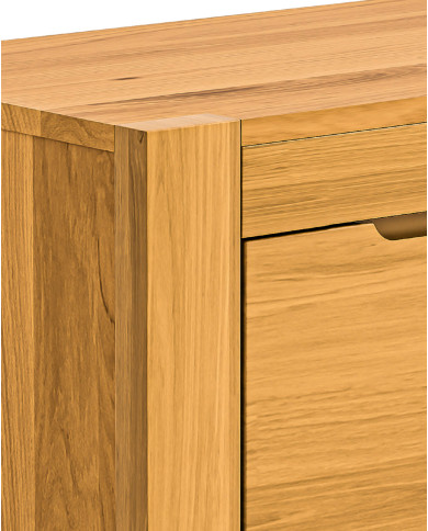 Szafka RTV Napoli NE-48, z drzwiami i wnęką na sprzęt, front lity dąb olejowany, SIUDY