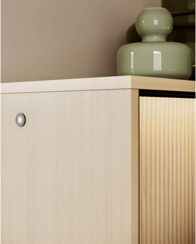 Szafka RTV Flow FW-05  z oświetleniem, czterodrzwiowa, Dąb vincenza bielona/ Czarny, LENART