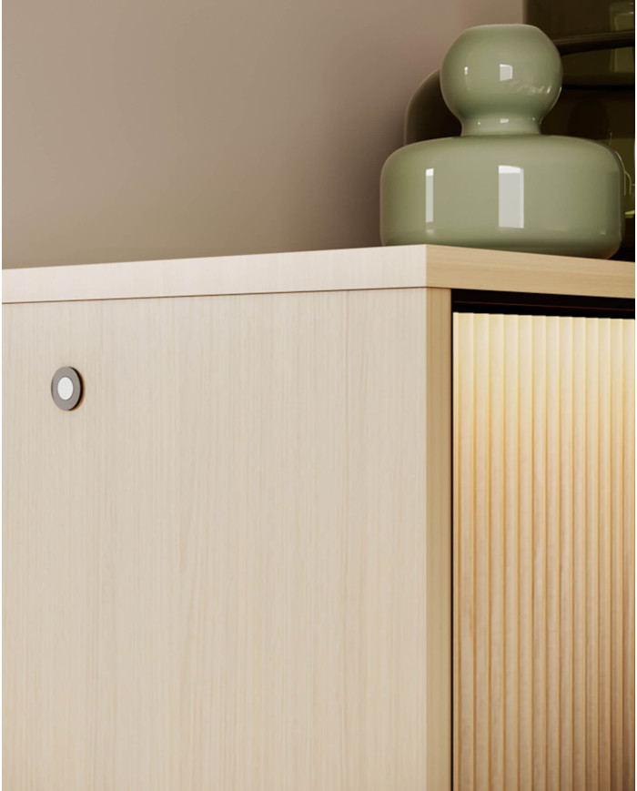 Szafka RTV Flow FW-05  z oświetleniem, czterodrzwiowa, Dąb vincenza bielona/ Czarny, LENART