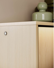 Szafka RTV Flow FW-05  z oświetleniem, czterodrzwiowa, Dąb vincenza bielona/ Czarny, LENART