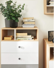 Szafka rtv Pixel PX11 z szufladami i półkami, Dąb biszkoptowy/ Biały lux/ Szary, MEBLAR