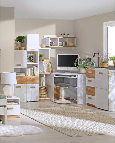 Regał niski Lorento L4, z szufladą, drzwiami i półkami, biały brylantowy/ dąb nash, DOLMAR