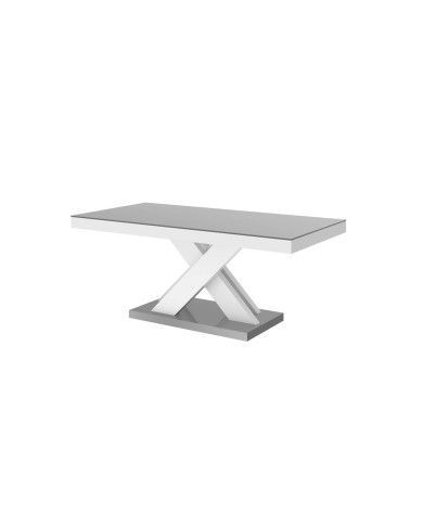 Ława Xenon Lux Mini 60/50/120 cm, szary mat/ biały połysk, HUBERTUS Ława Xenon Lux Mini 60/50/120 cm, szary mat/ biały połysk, HUBERTUS