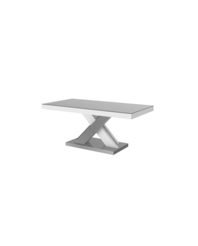 Ława Xenon Lux Mini 60/50/120 cm, blat szary mat/ podstawa szary i biały połysk, HUBERTUS Ława Xenon Lux Mini 60/50/120 cm, blat szary mat/ podstawa szary i biały połysk, HUBERTUS