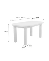 Stół rozkładany STF5, okleina naturalna, owalny, 2 wkłady powiększające, 170-250/75/90 cm, noga 9x9 cm, DREW-MARK